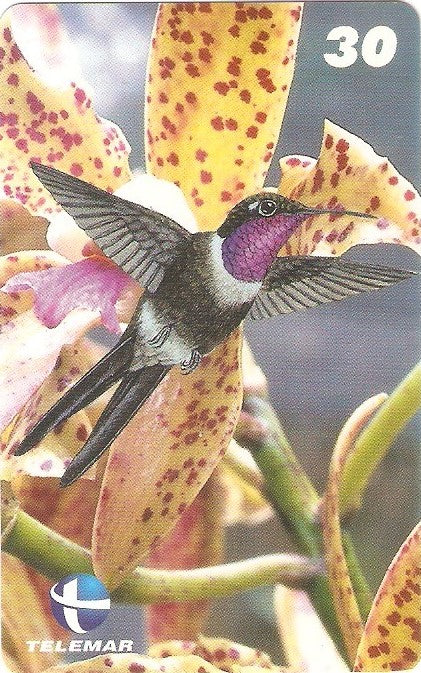 ES-071M - Beija-flores 3 - 1/4