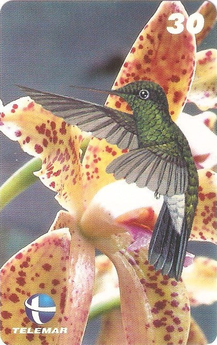 ES-072M - Beija-flores 3 - 2/4