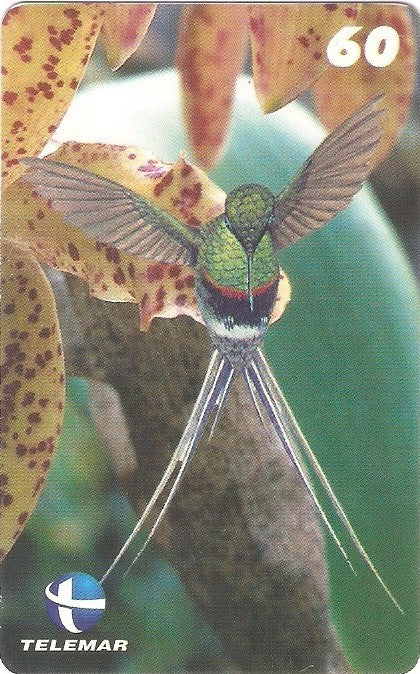 ES-074 - Beija-flores 3 - 4/4