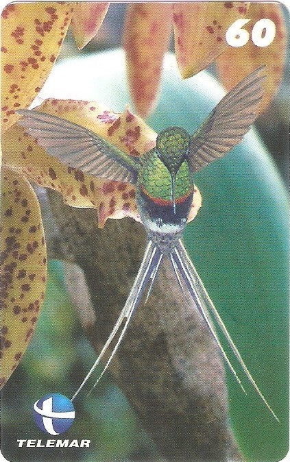 ES-074M - Beija-flores 3 - 4/4