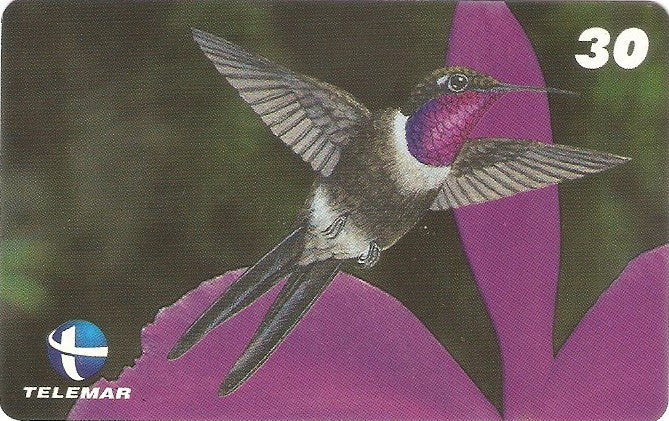 ES-075M - Beija-flores 4 - 1/4