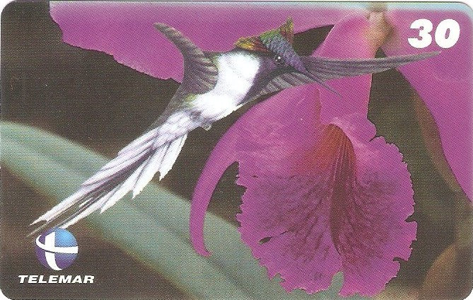 ES-077M - Beija-flores 4 - 3/4