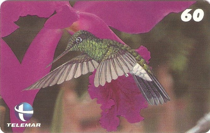 ES-078 - Beija-flores 4 - 4/4