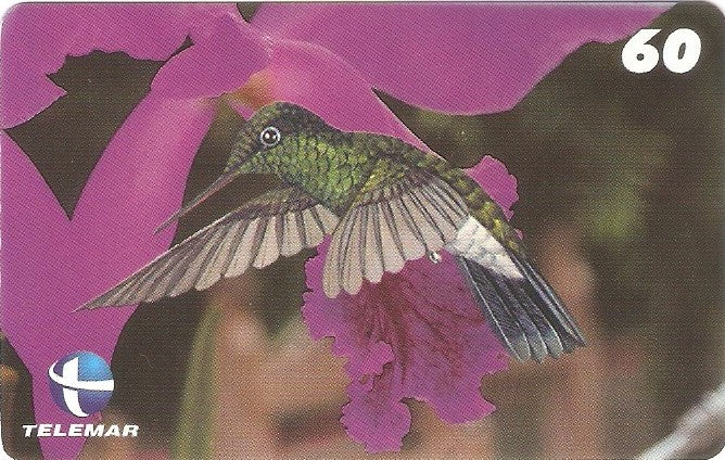 ES-078M - Beija-flores 4 - 4/4