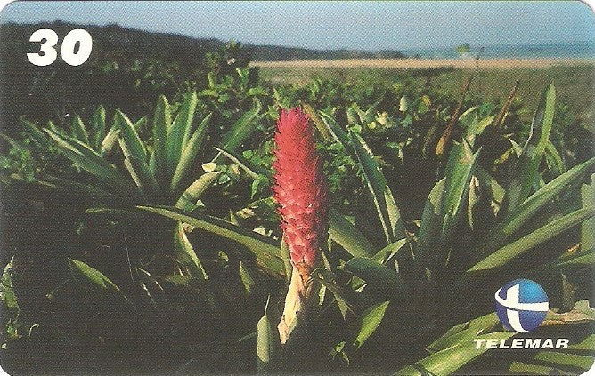 ES-087M - Parque Paulo C Vinha