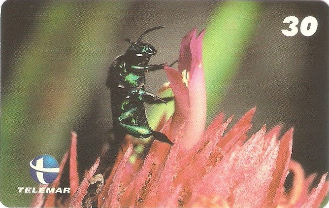 ES-100M - Fauna - 02/20