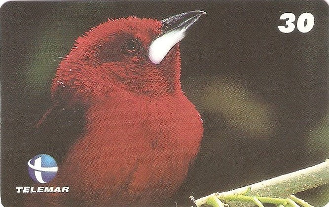 ES-102M - Fauna - 04/20