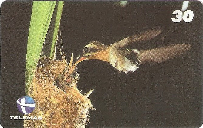 ES-103M - Fauna - 05/20