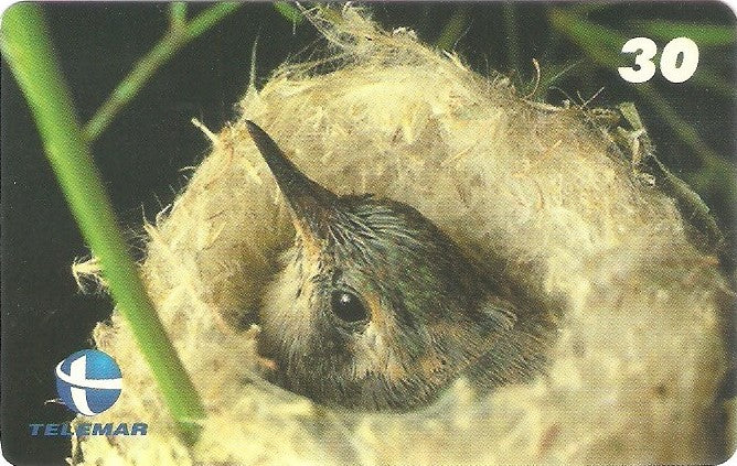 ES-104M - Fauna - 06/20