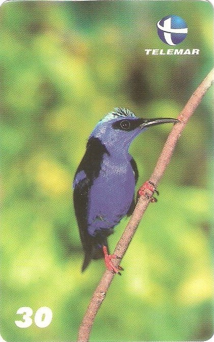 ES-105M - Fauna - 07/20