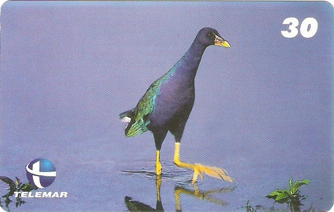 ES-107M - Fauna - 09/20