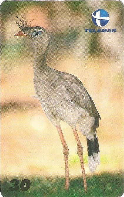 ES-108M - Fauna - 10/20