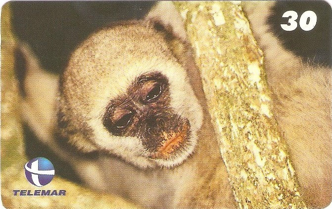 ES-109M - Fauna - 11/20