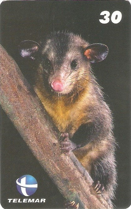 ES-110M - Fauna - 12/20