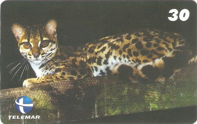 ES-111M - Fauna - 13/20