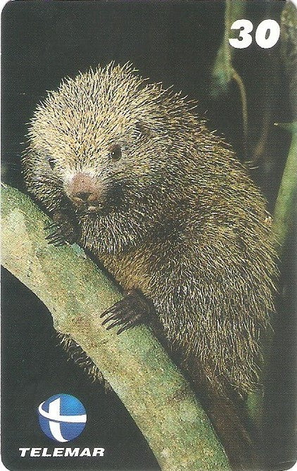 ES-112M - Fauna - 14/20