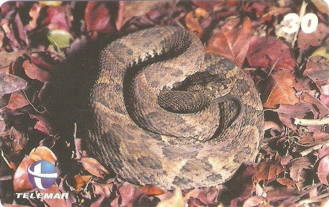 ES-113M - Fauna - 15/20