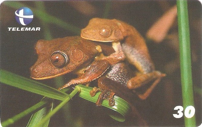 ES-115M - Fauna - 17/20