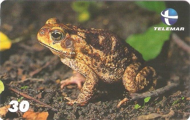 ES-116M - Fauna - 18/20