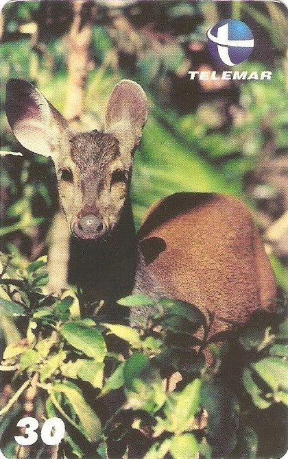 ES-117M - Fauna - 19/20