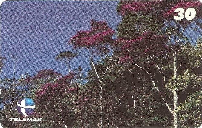 ES-120M - Paisagismo - 02/20