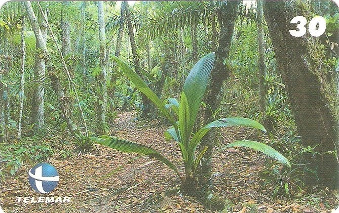 ES-125M - Paisagismo - 07/20