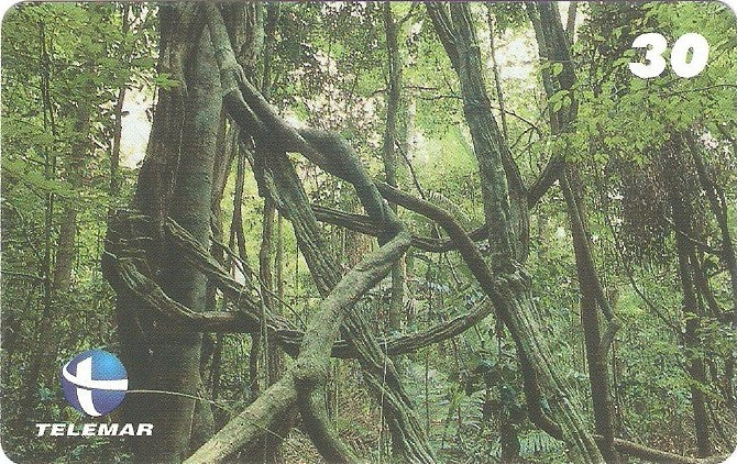 ES-133M - Paisagismo - 15/20