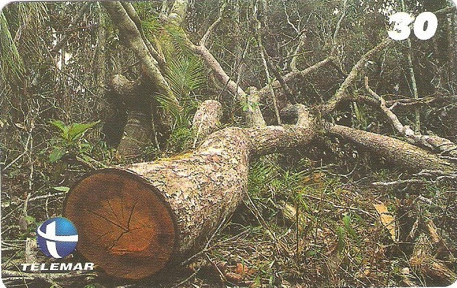 ES-137M - Paisagismo - 19/20