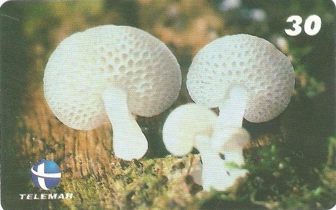 ES-139M - Fungos - 01/10