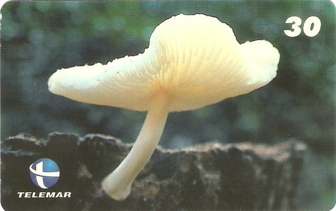 ES-141M - Fungos - 03/10