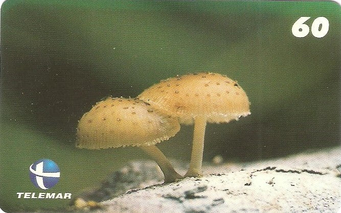 ES-143M - Fungos - 05/10