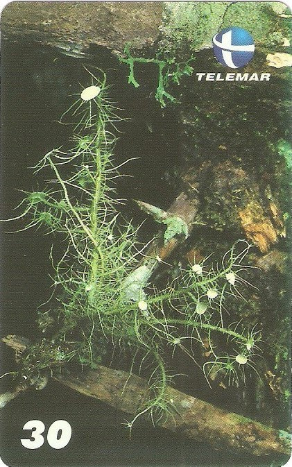 ES-147M - Fungos - 09/10