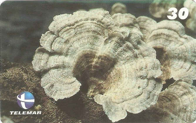 ES-148M - Fungos - 10/10