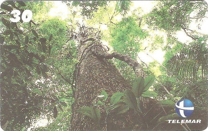 ES-149M - Flora - 01/10