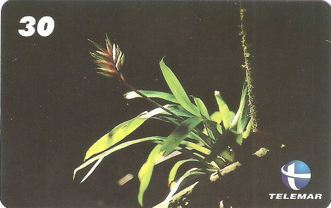 ES-151M - Flora - 03/10