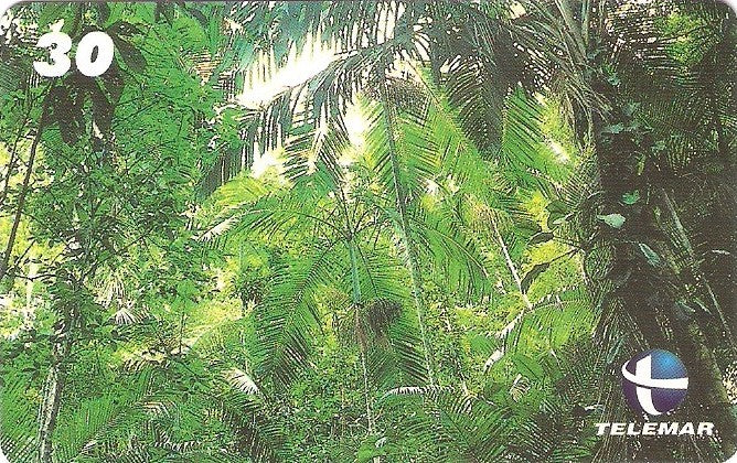 ES-153M - Flora - 05/10