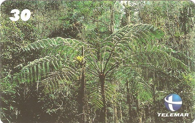 ES-158M - Flora - 08/10