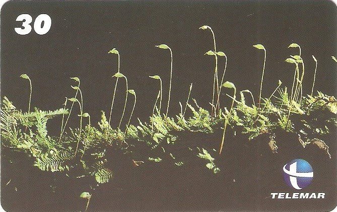 ES-159M - Flora - 09/10