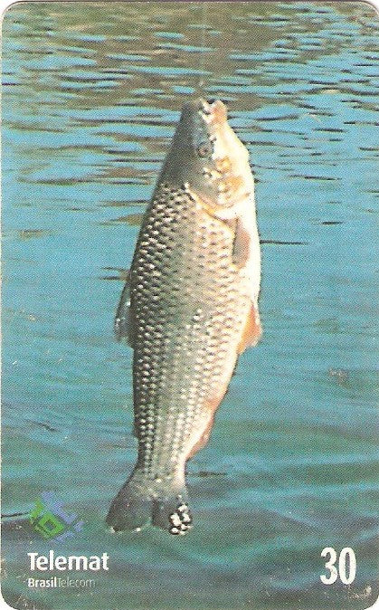 MT-138 - Telecartofilia - 10/12