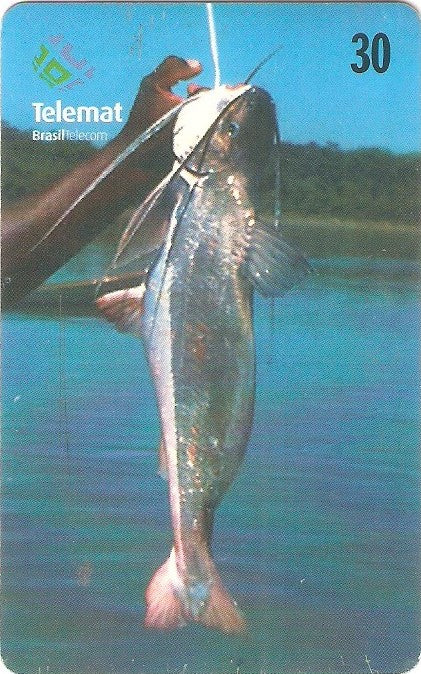 MT-140 - Telecartofilia - 12/12