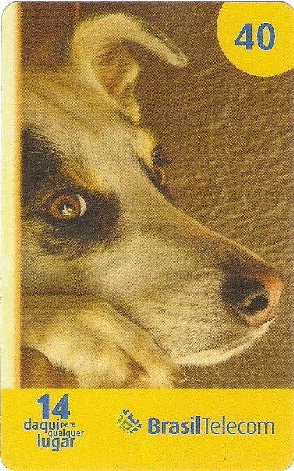 MTC07-23 - Cães - 1/2