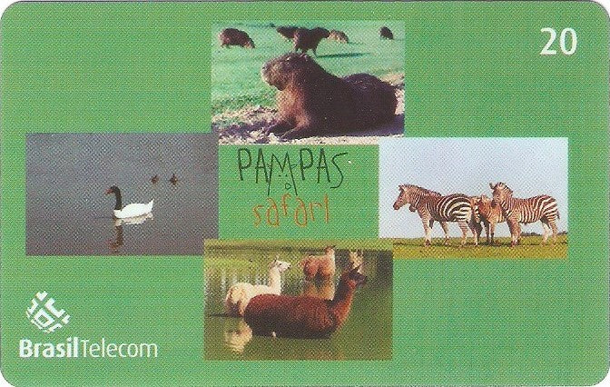 RS-0828 - Pampas Safari - 20C - 01/11