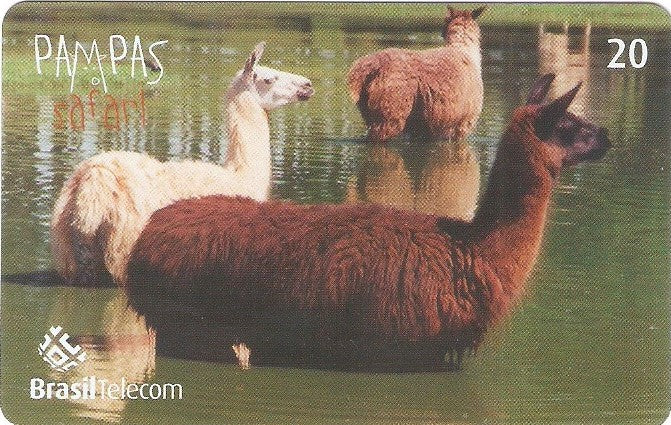 RS-0832 - Pampas Safari - 20C - 05/11