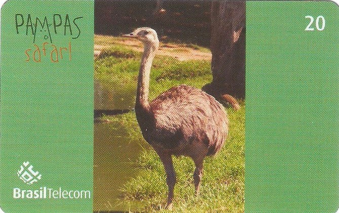 RS-0834 - Pampas Safari - 20C - 07/11
