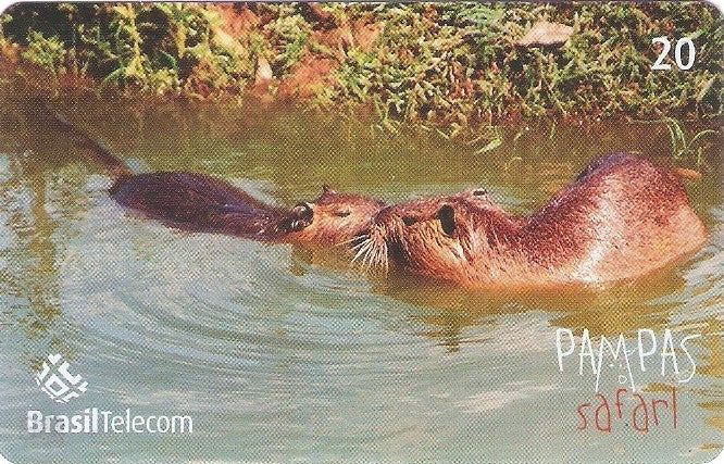 RS-0837 - Pampas Safari - 20C - 10/11