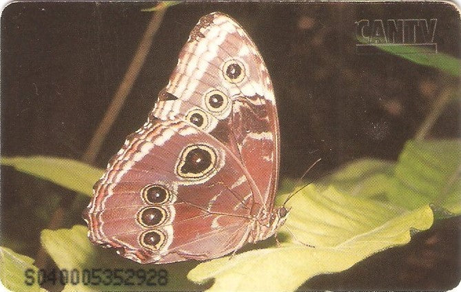 VEN-537A - Borboletas - 4/6