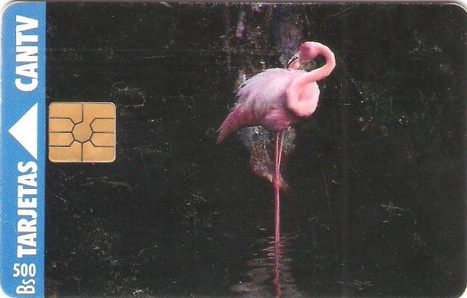 VEN-042-1 - Flamingo