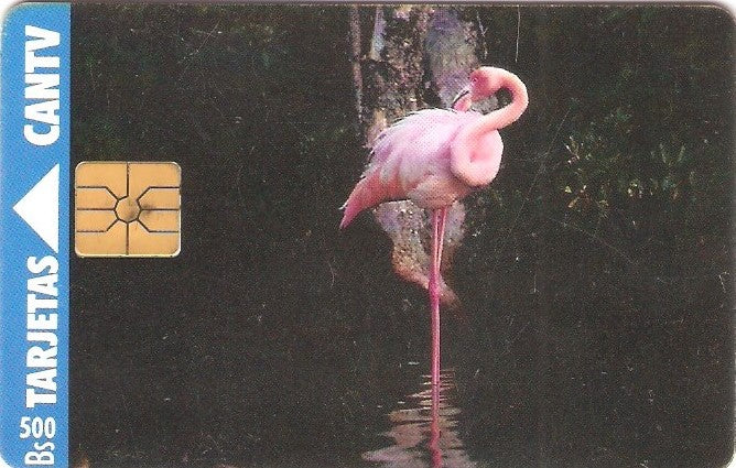 VEN-042-2b - Flamingo