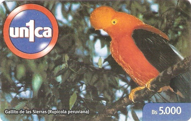 VEN-U-0217 - Galo da Serra