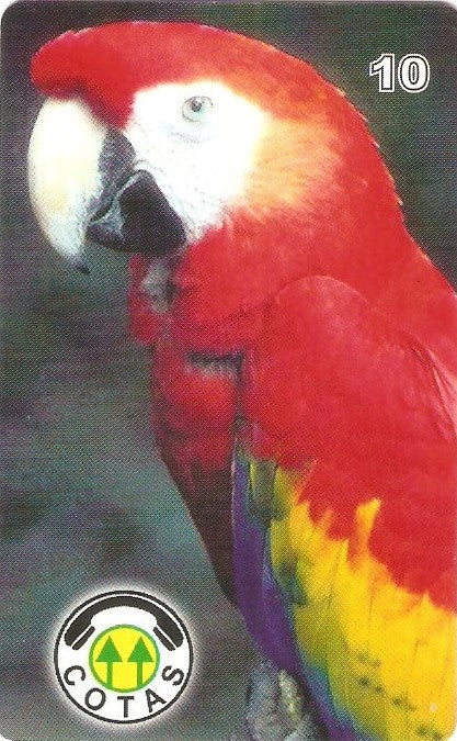BOL-CO-026 - Arara Vermelha